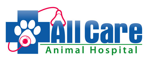 Vet in Minneola & Clermont, FL | All Care Animal Hospital