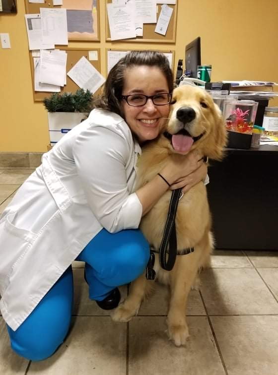 Cat brushing up against its owner